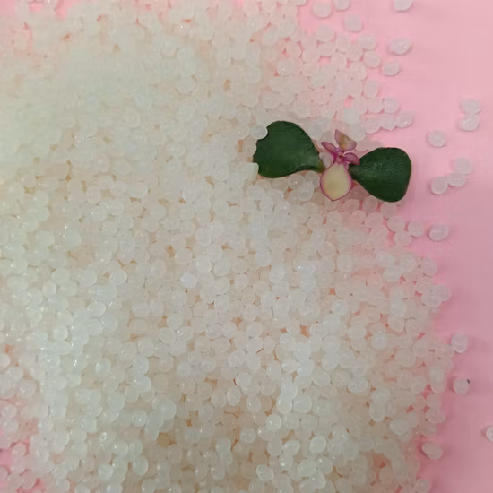 Guorarn Biodégradable PLA Pbat Noir Compostable Plastique T